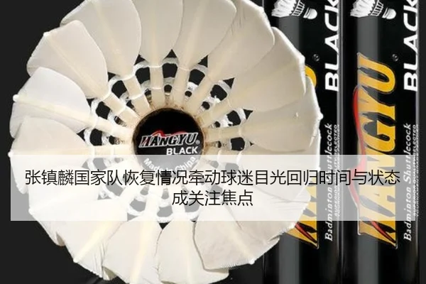 张镇麟国家队恢复情况牵动球迷目光回归时间与状态成关注焦点